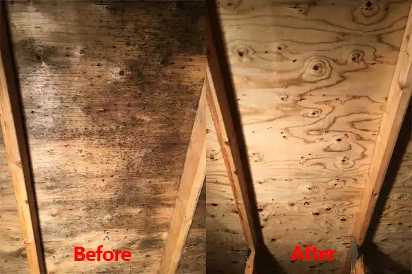 water damage restoration service Westphalia